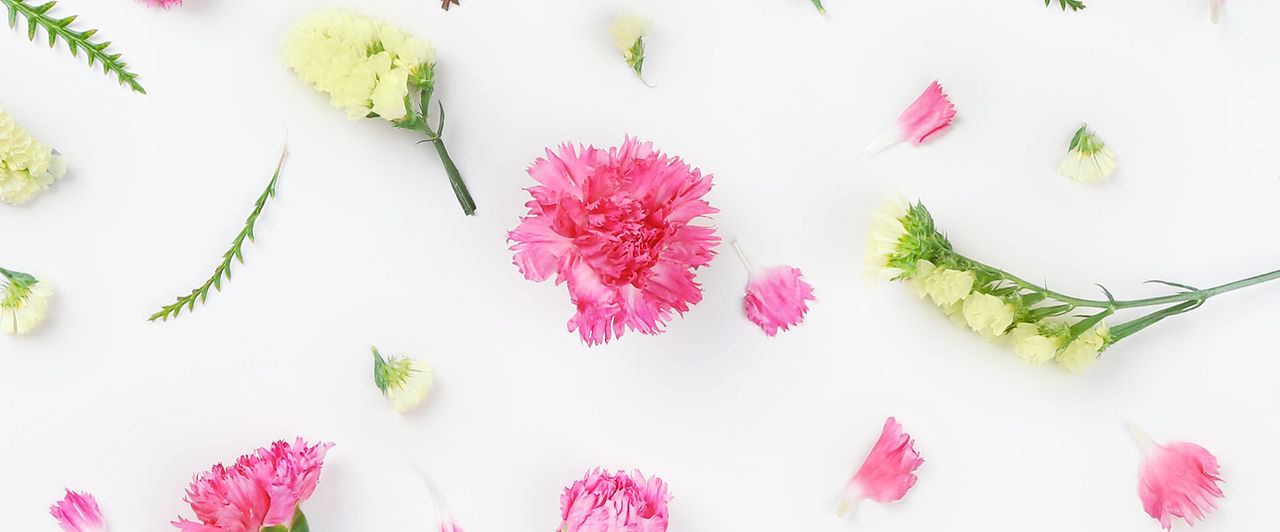 Yellow and Pink Flowers