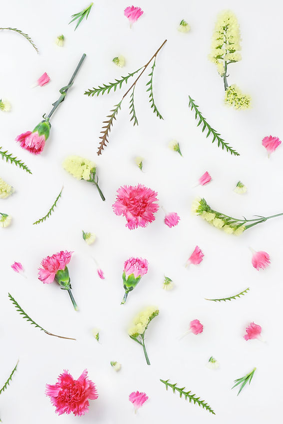 Yellow and Pink Flowers