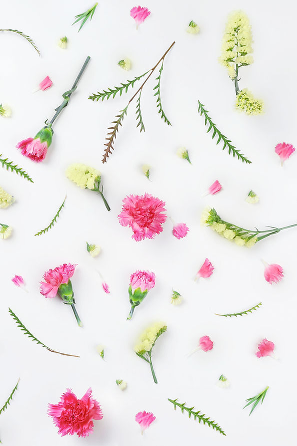 Yellow and Pink Flowers