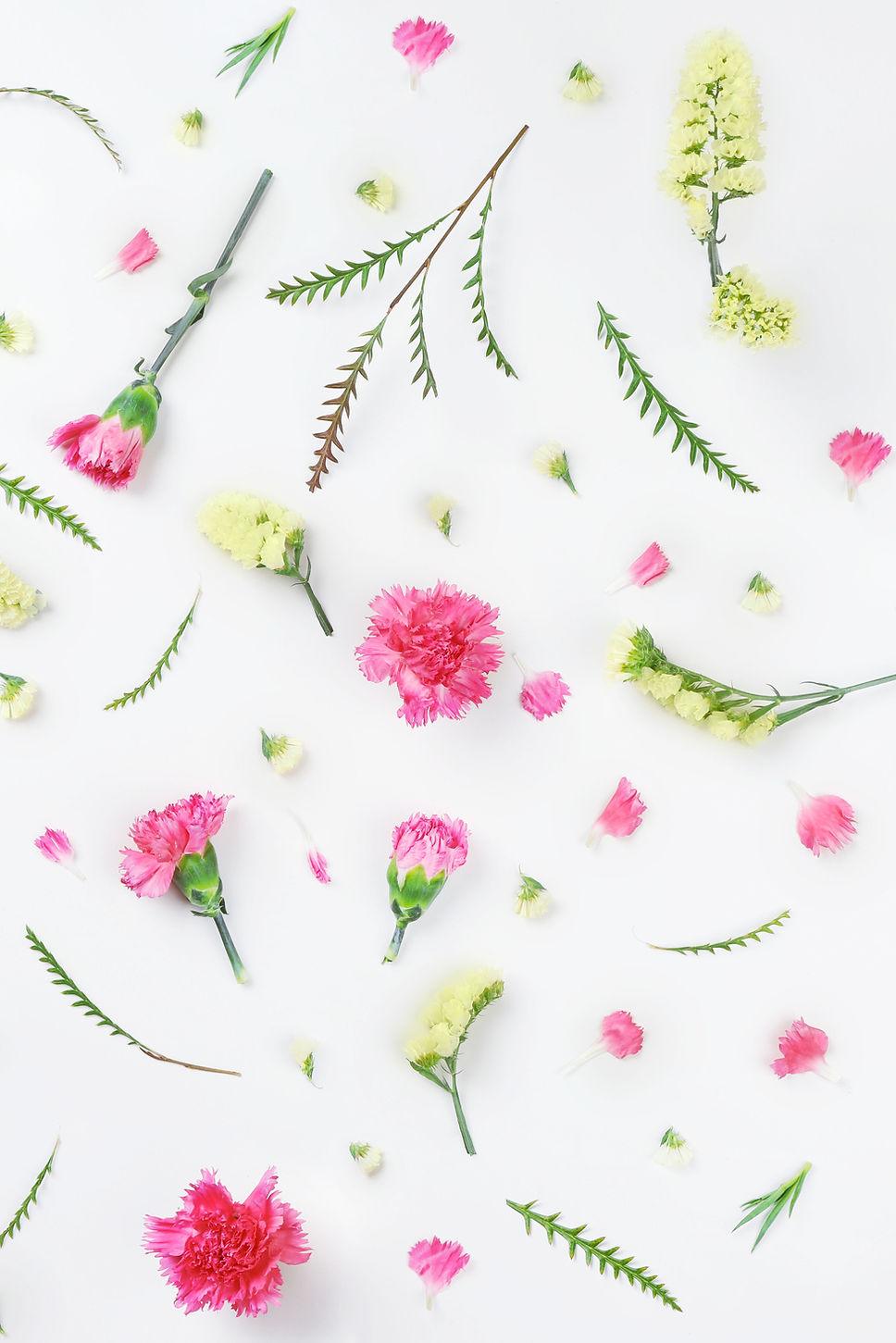 Yellow and Pink Flowers
