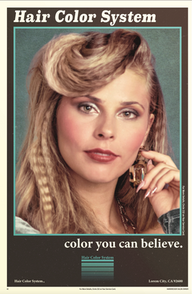 AMF_SALVOS POSTER_001.png