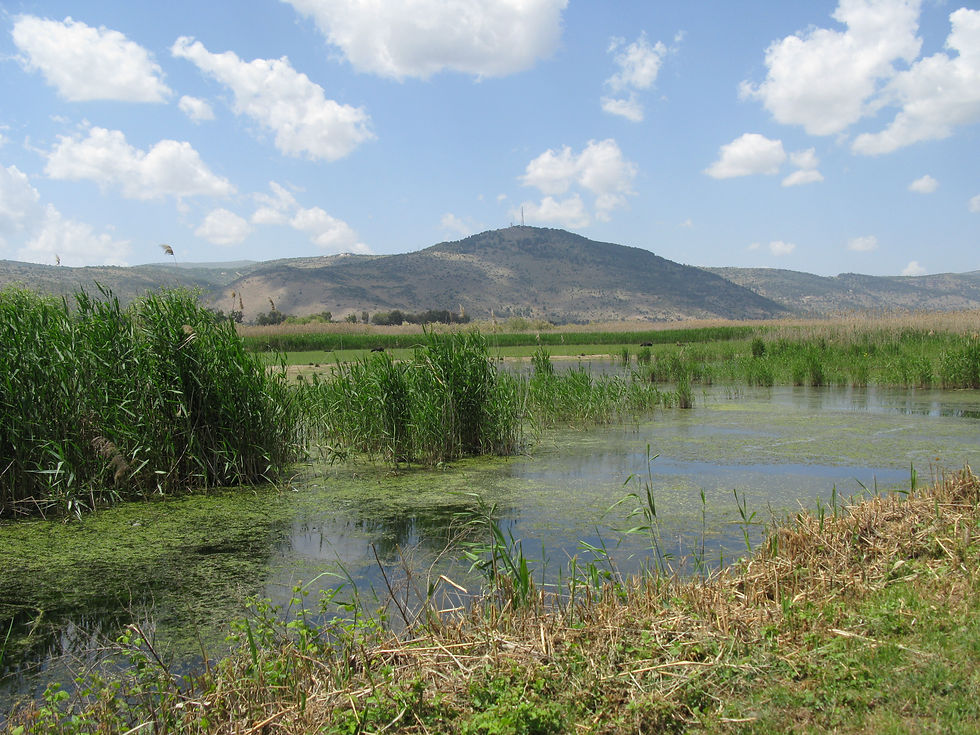 Hula Nature Reserve