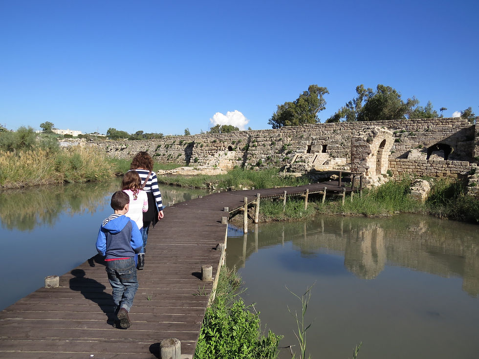 Nahal Taninim national park