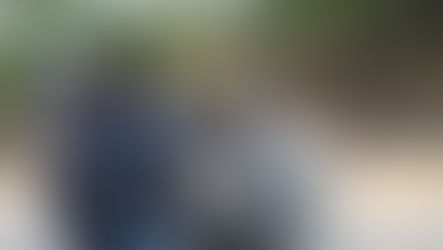 Day Ride to Bharachukki Falls