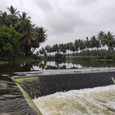 Ride to Kothagurukki (Kadavarhalli) Falls and Bettamugilalam Forest