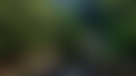 Ride to Kukke - Bisle Ghat - Mandalpatti