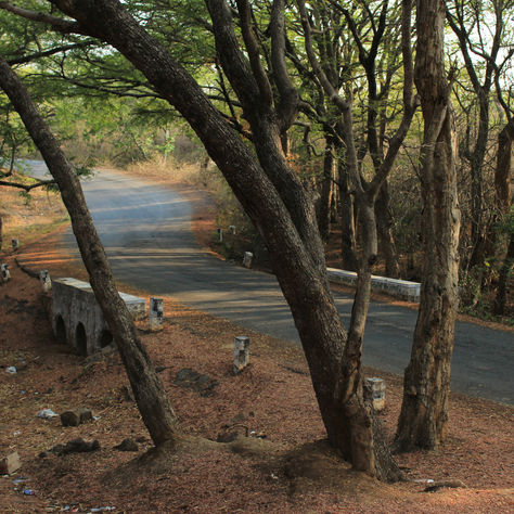 Ride to Billgundla via Anchetty