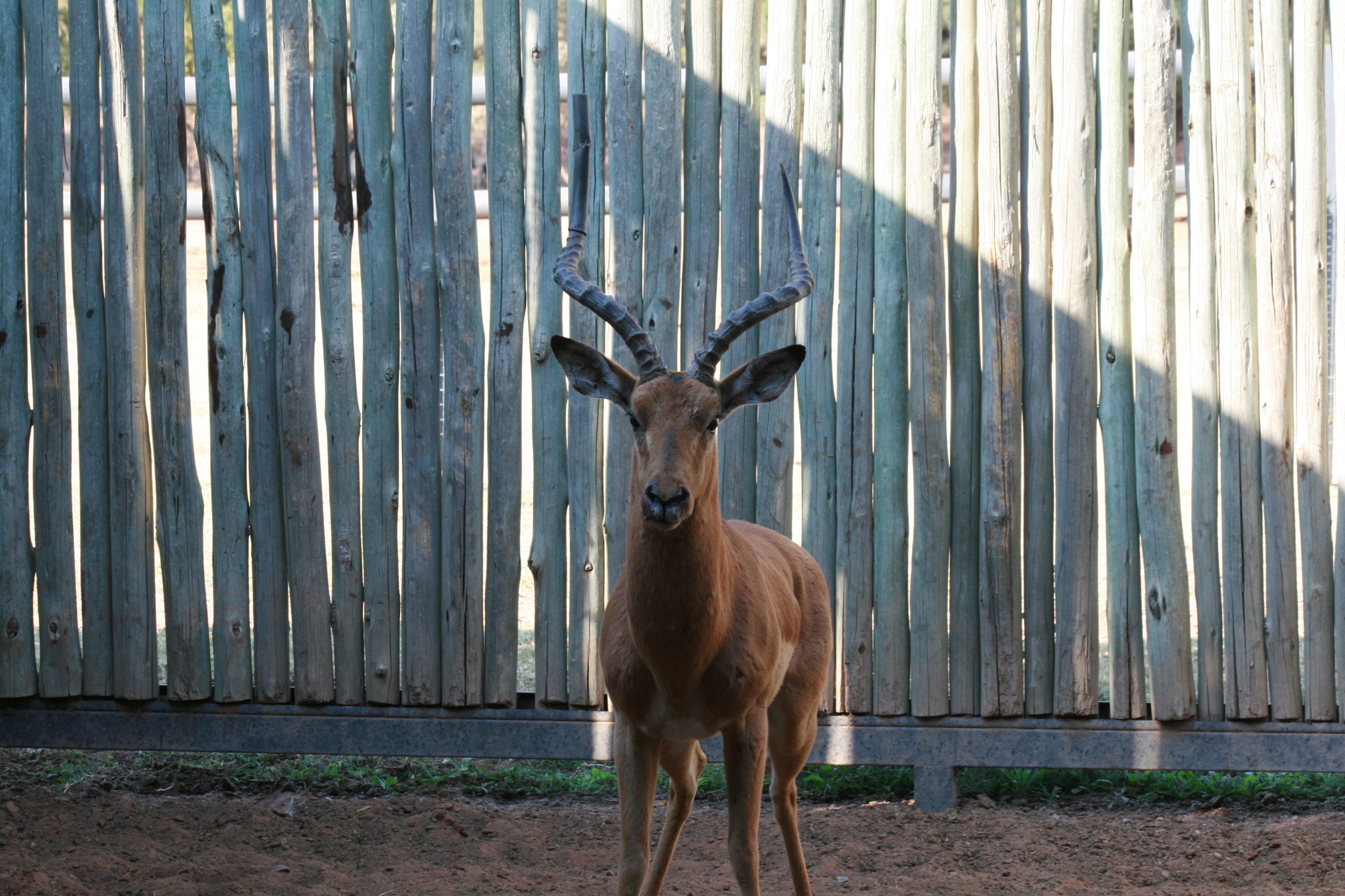 Lot 15
