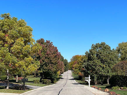 burr ridge 77th st.jpg