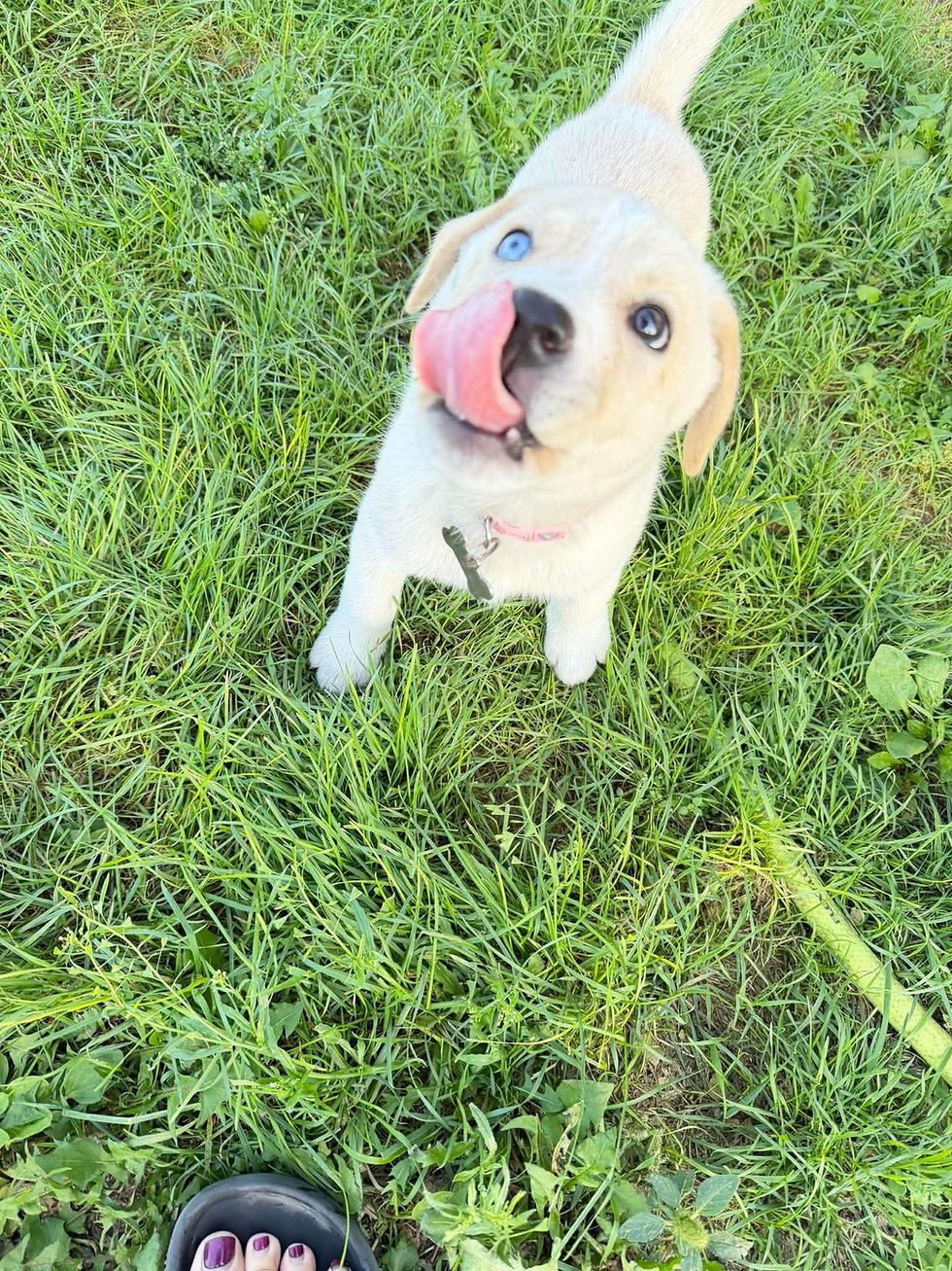 dolly pawton copy 2.jpg