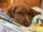 rusty copy 8.jpg