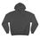 Thumbnail: B1 Shadow - Champion Hoodie 