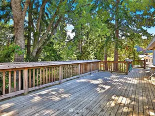 Bellevue's Tree Heritage and Environmental Integrity at Risk