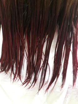 36729138_1564908130286529_35591910926980