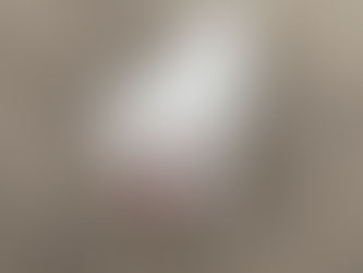 INDIE (en cours d'adoption)