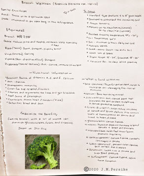The Many Benefits of Broccoli
