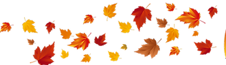 pngegg.png