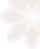 flowerfill 5.png