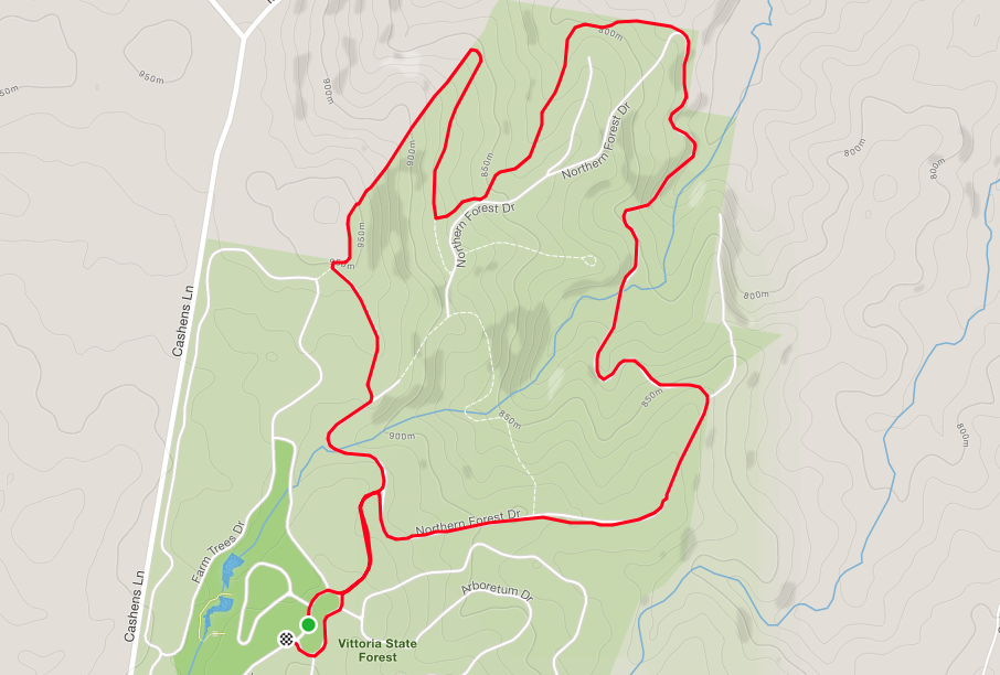 macquarie-woods1.png