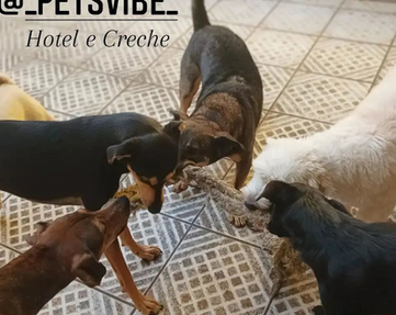 Design sem nome (5).png