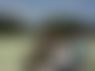 名古屋でソフトテニス活動日記(2018.7.21)