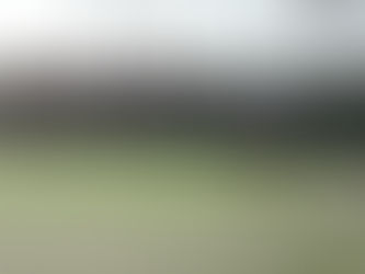 名古屋でソフトテニス活動日記
(2018.6.24)