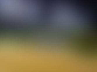 名古屋でソフトテニス活動日記(2018.7.16)