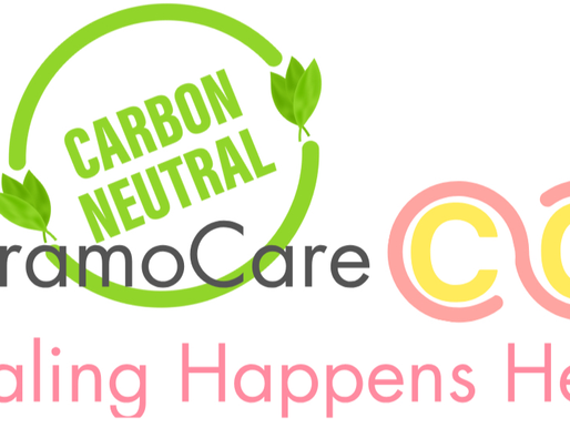 Surprise! My Bijou Trauma Therapy Business Was Already Carbon Neutral