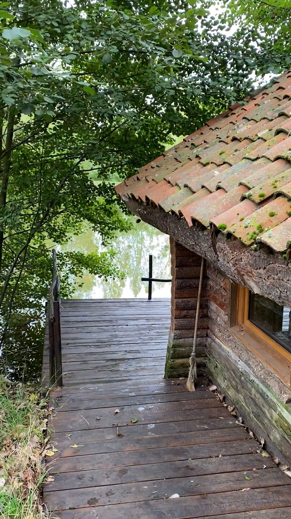 Une saison pour la femme sauvage