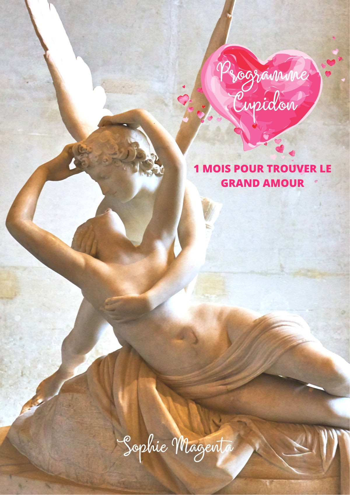 Le Programme CUPIDON 💘 (Livre numérique)