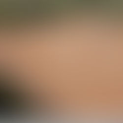 Horse Arena Thickness – Why It Matters and How to Maintain It