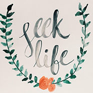 Seek Out Life