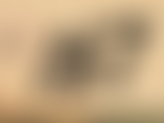 The 167: June 13, 2019