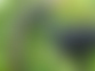 A Fruitful Prayer Exercise