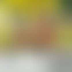 The Measure of Success