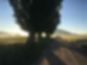 IMG-0161.JPG