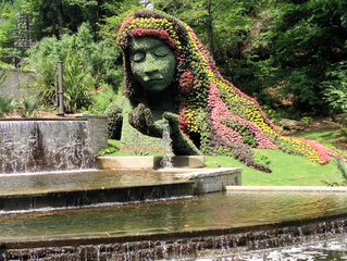 Enjoy nature in the morning whenever you can.