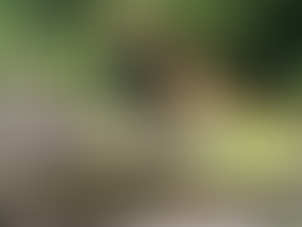 Enjoy nature in the morning whenever you can.