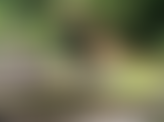 Enjoy nature in the morning whenever you can.