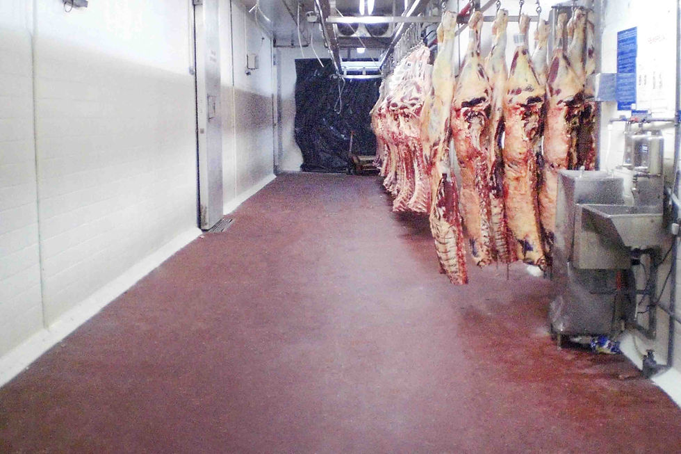 PEIXARIA / AÇOUGUE / PADARIA