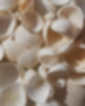 d74a3a9f07be273ff609dc95f98f863b.jpeg