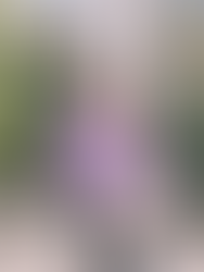 Galveston Travel Guide 