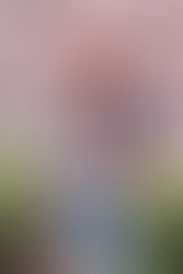 Why You Should Start A Blog In 2021