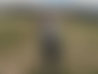 It All Seems Worthwhile