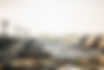 Unlocking the Power of Transferable Points: A Guide to Maximizing Rewards