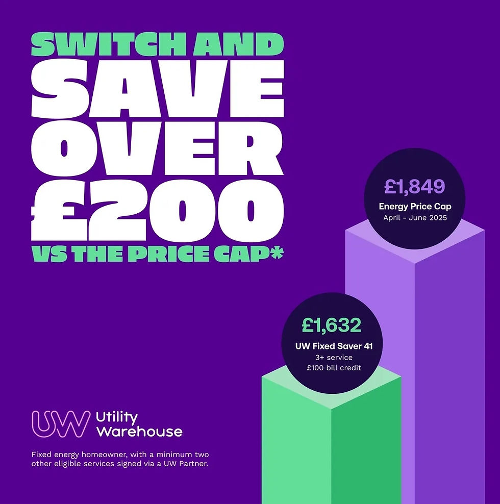 Laura Botez Utility Wharehouse