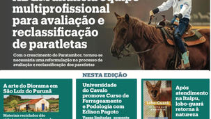 Edição Abril 2025