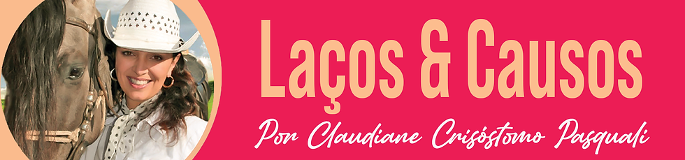 Laços e Causos