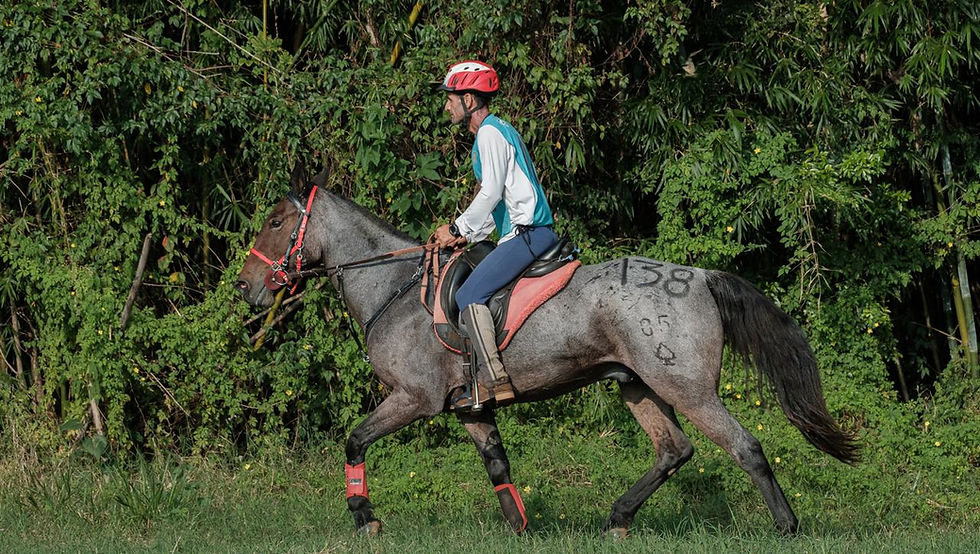 03 CAVALO CRIOULO FOTO FAGNER ALMEIDA7 (1).jpeg