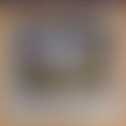 O JUMENTO FANFARRÃO